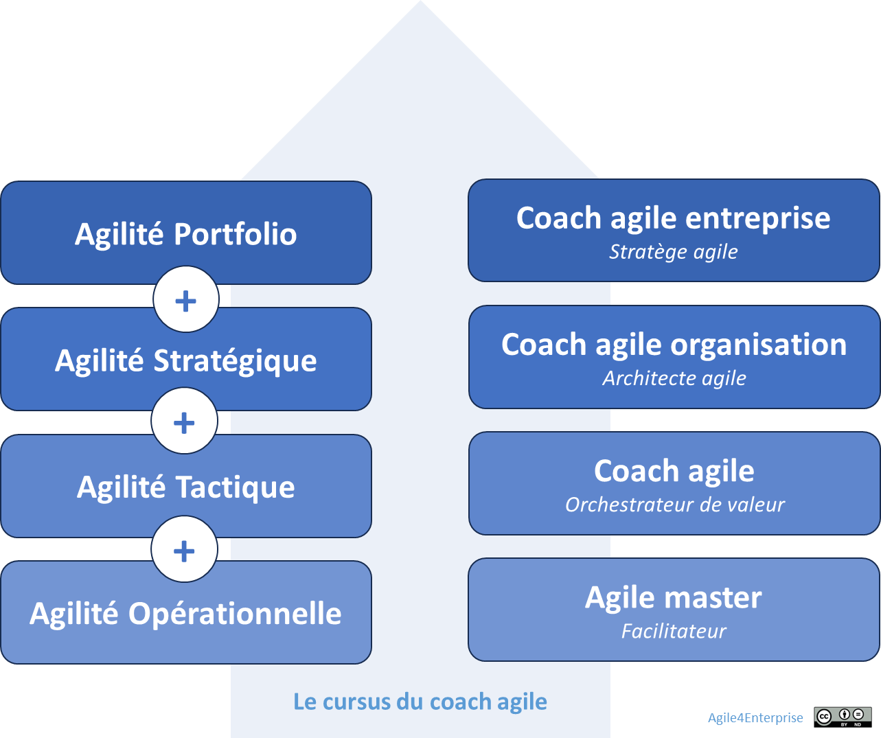 Les 4 rôles de coach agile